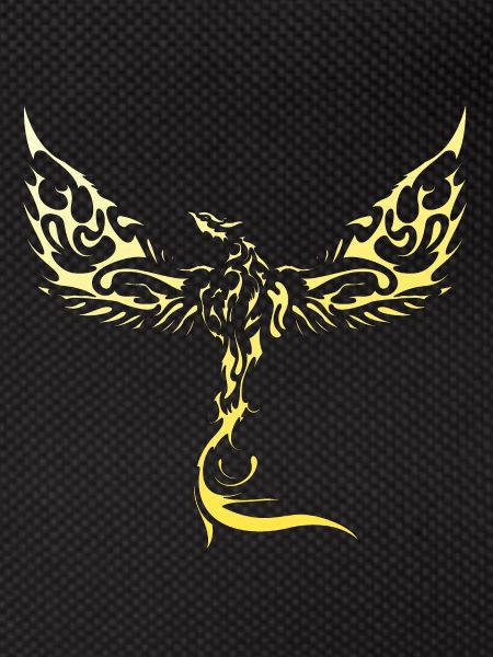 Eagles-Eagles-Eagles-Eagles-Bird-Bird