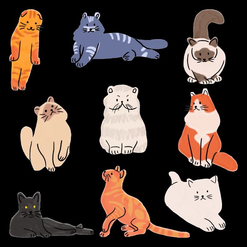 Chats