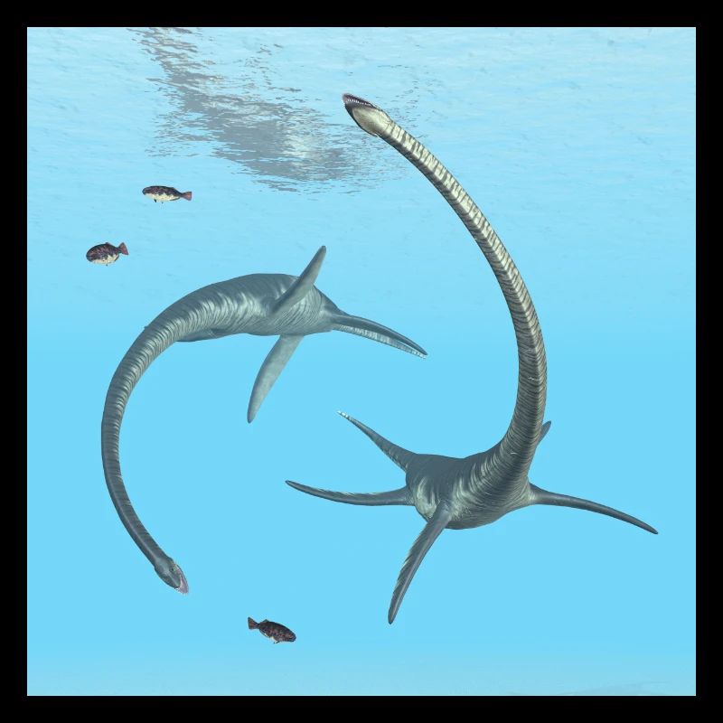 Plésiosaure Elasmosaurus