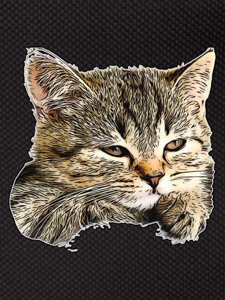 Cat face