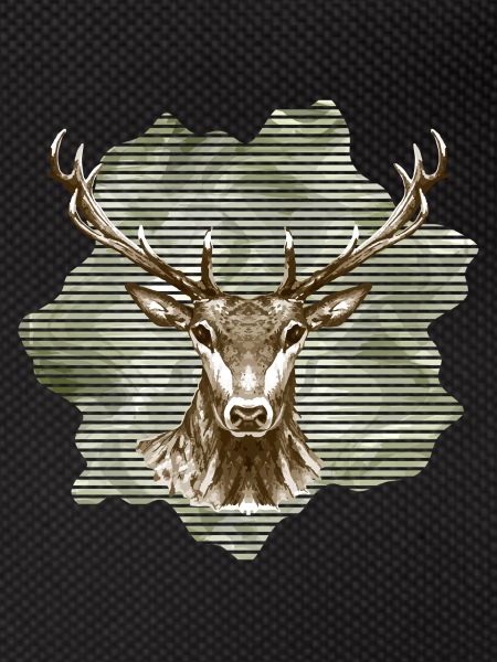 Hirsch