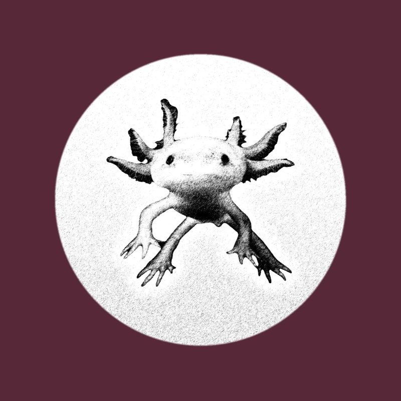 Axolotl