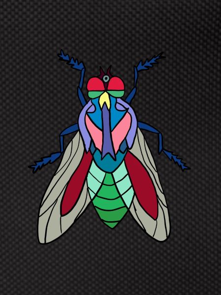 Fliege
