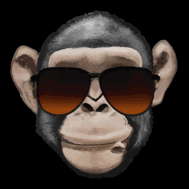 Singe avec lunettes de soleil Visage drôle
