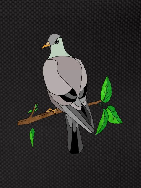 Vogel