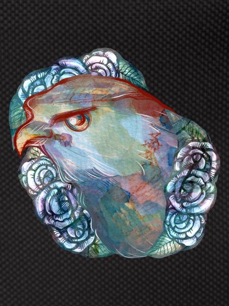Hawk