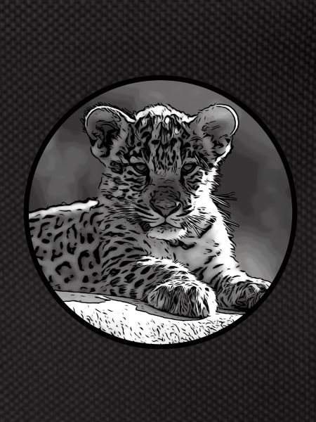 Bébé jaguar