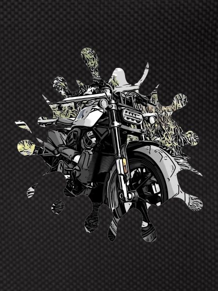 Motorcycle splash SW