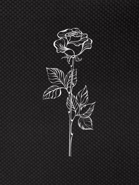 Rose blanche