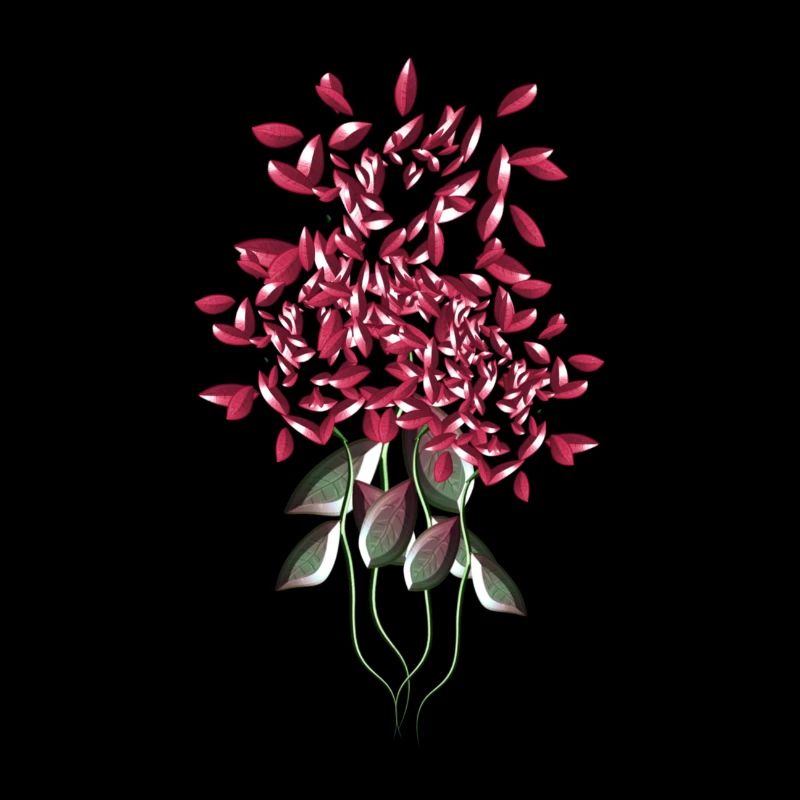 fleurs de rose rose fleur