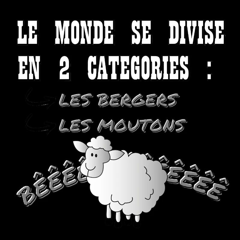 LE MONDE SE DIVISE EN 2 CATEGORIES