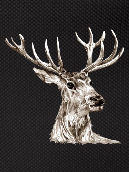 Hirsch