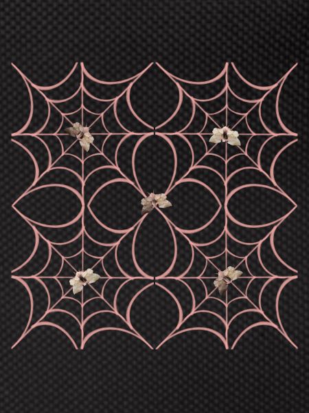 Spiderweb ByRino