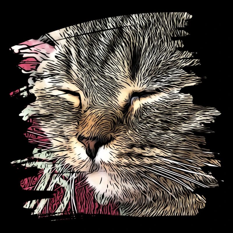 Visage de chat 6