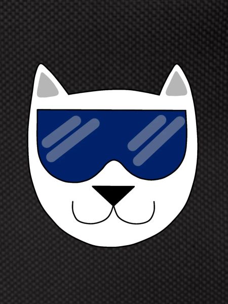 Un chat avec lunette