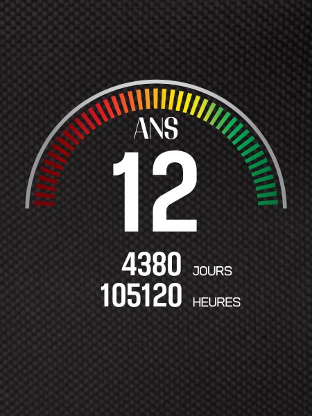 Anniversaire 12 ans Compteur