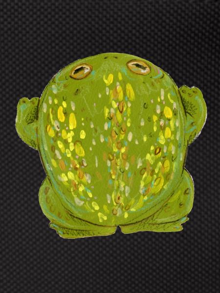Frog Toad grass green
