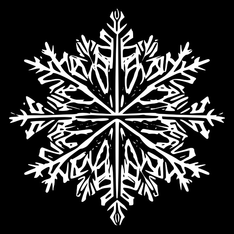 Snowflake Snow Winter Christmas Cold 7