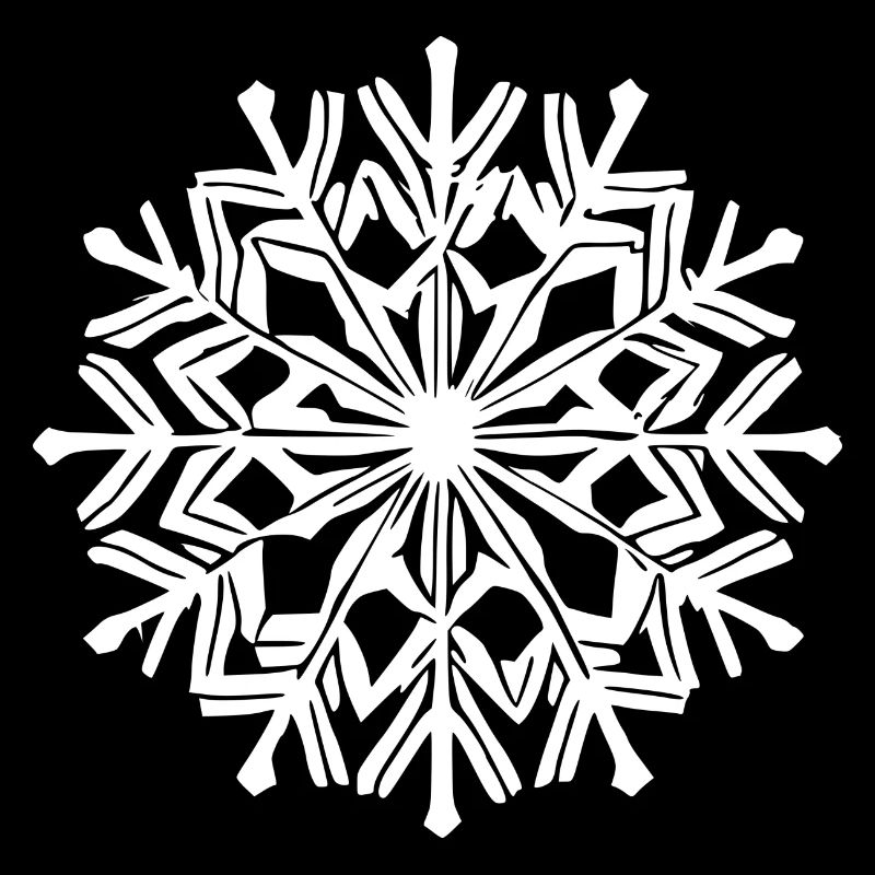 Snowflake Snow Winter Christmas Cold 16