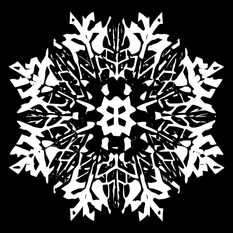 Snowflake Snow Winter Christmas Cold 13