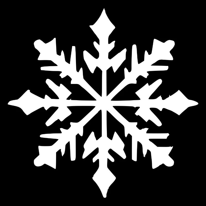 Snowflake Snow Winter Christmas Cold 9