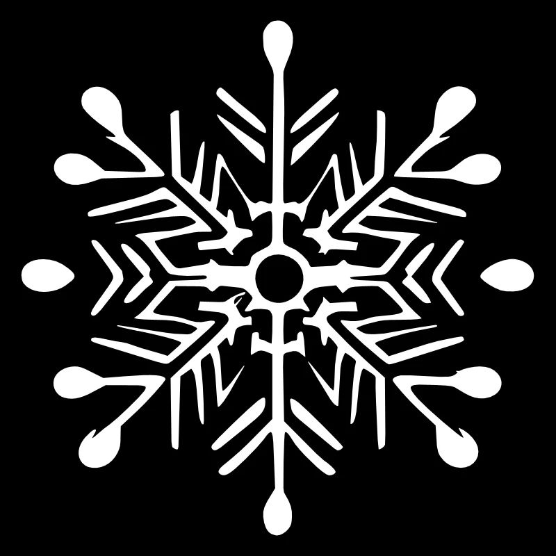 Snowflake Snow Winter Christmas Vector 2