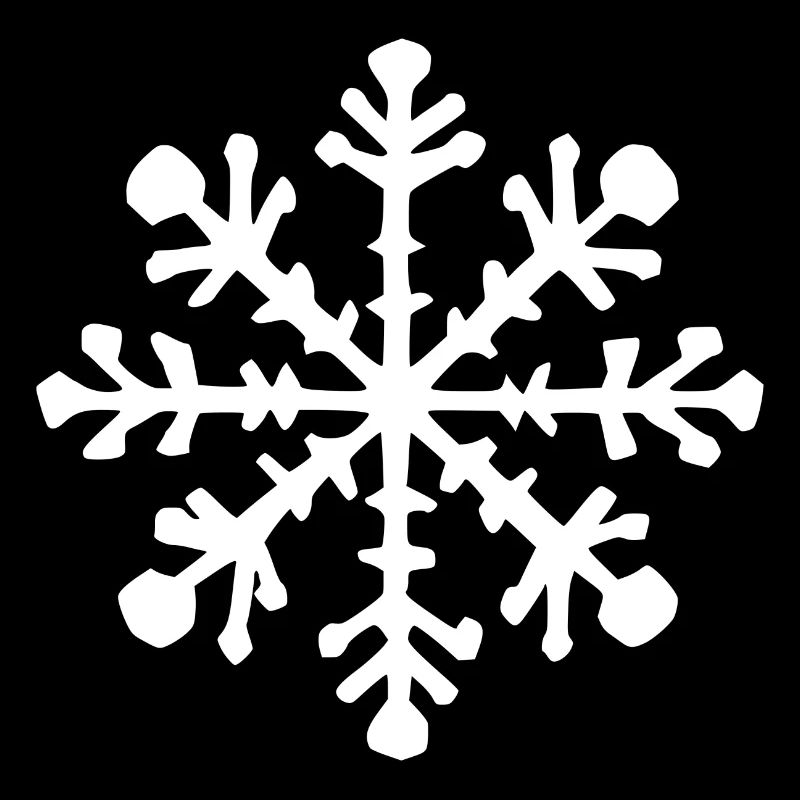 Snowflake Snow Winter Christmas Cold 04