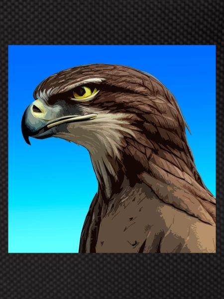 Eagle, Alcon, illustration