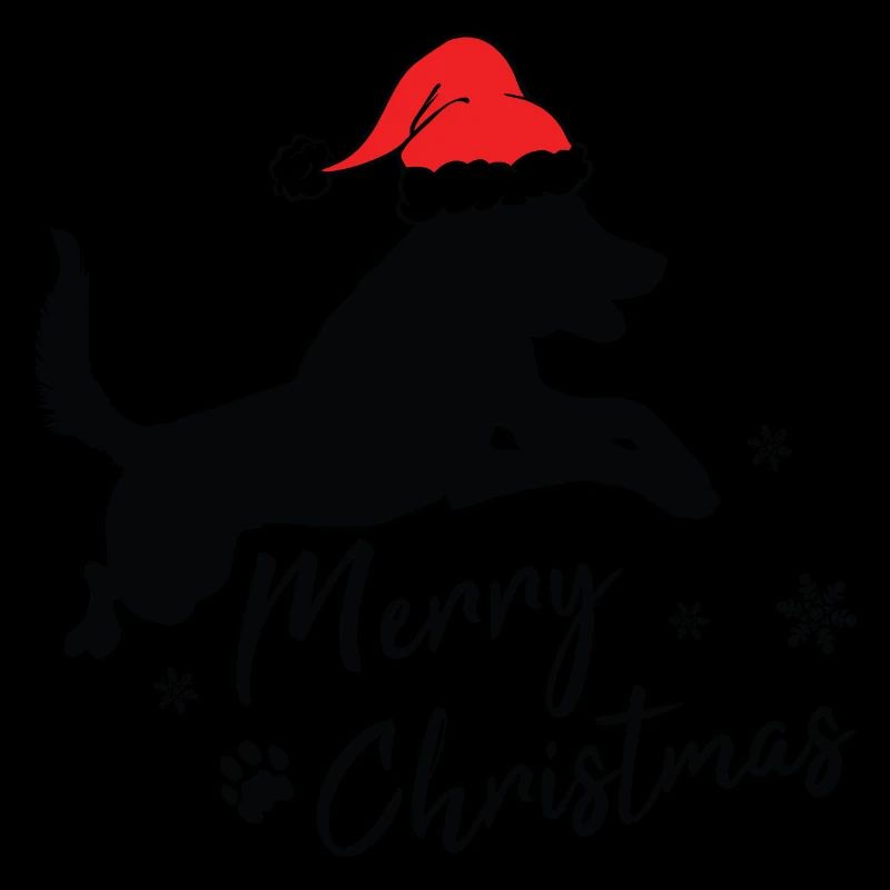 Joyeux Noël Malinois