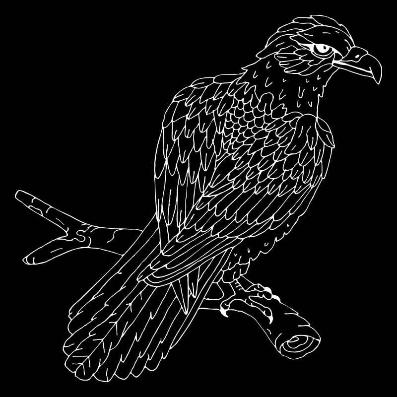 Vogel