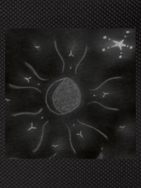 STARRY MOON