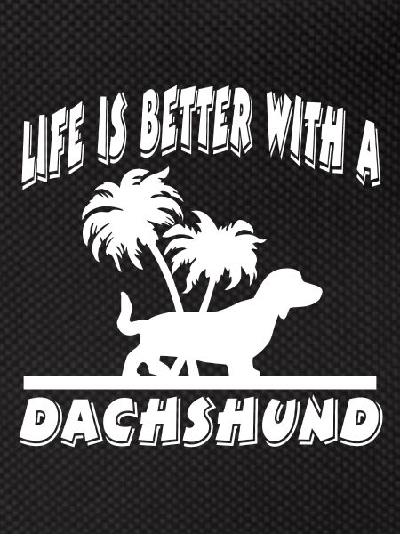 Dachshund