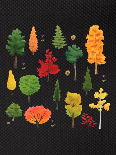Trees