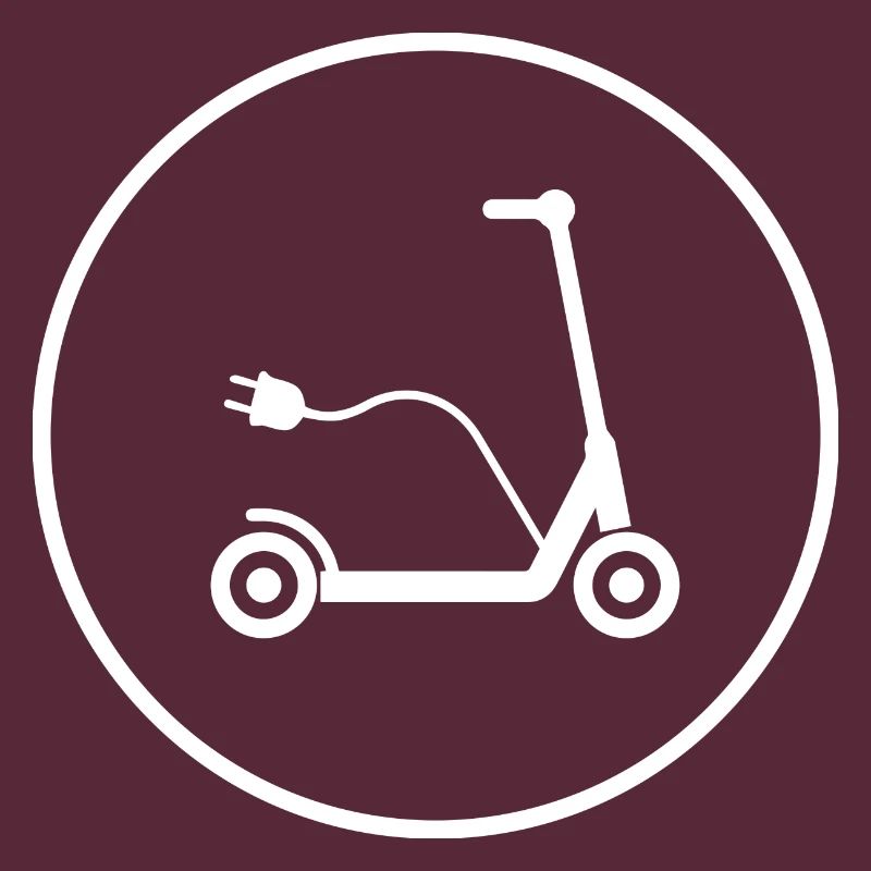 E-Scooter E-Roller Scooter