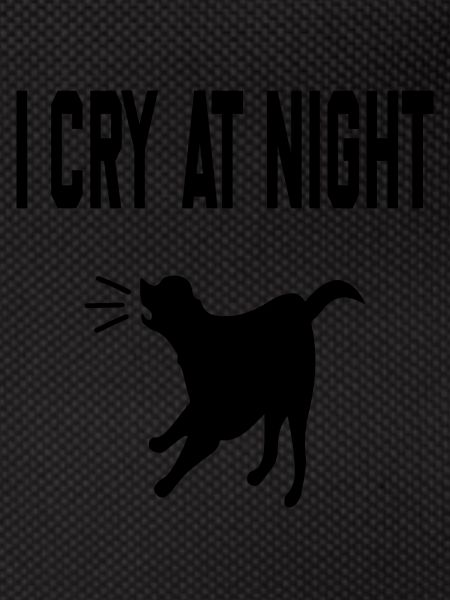 I Cry At Night