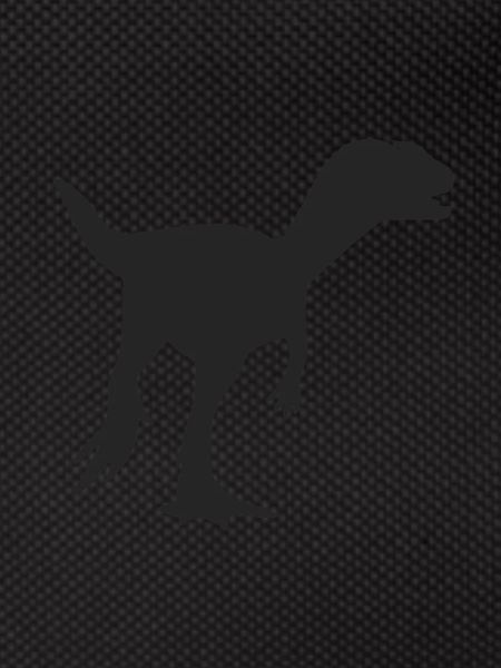 Silhouette of Velociraptor