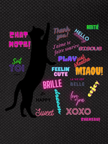 Chat mots