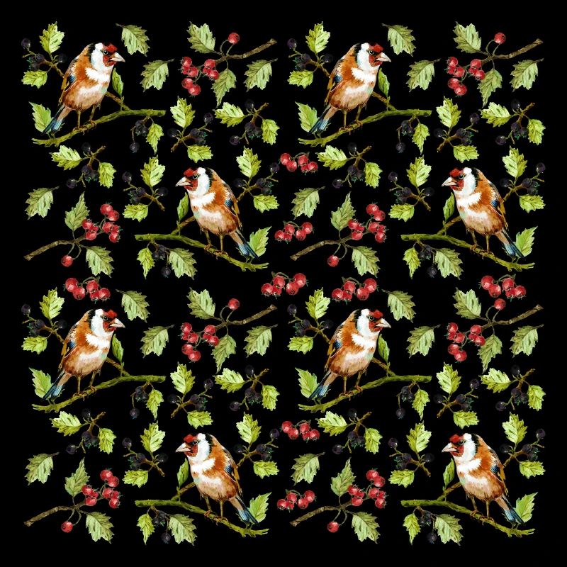 Bunte Vögel