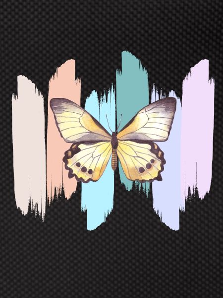 Regenbogen-Schmetterling