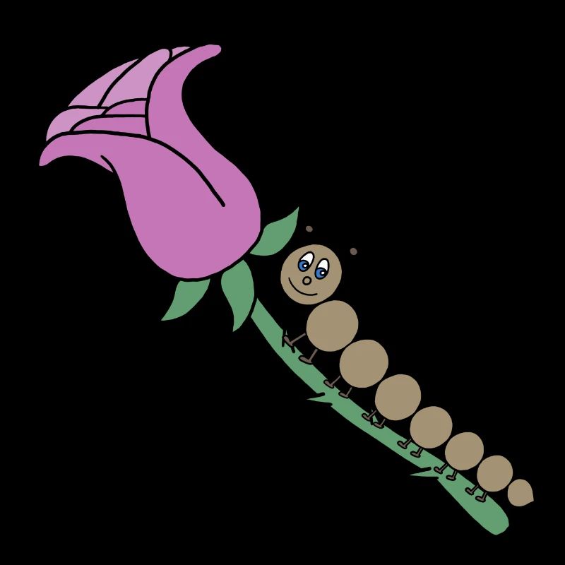 Rose avec chenille