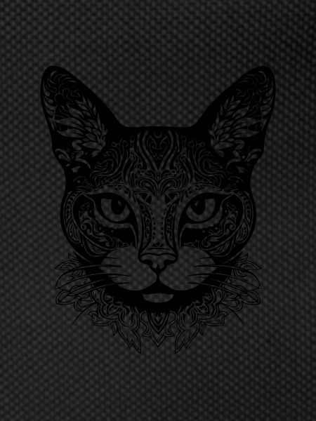 Chat chaton chaton dame