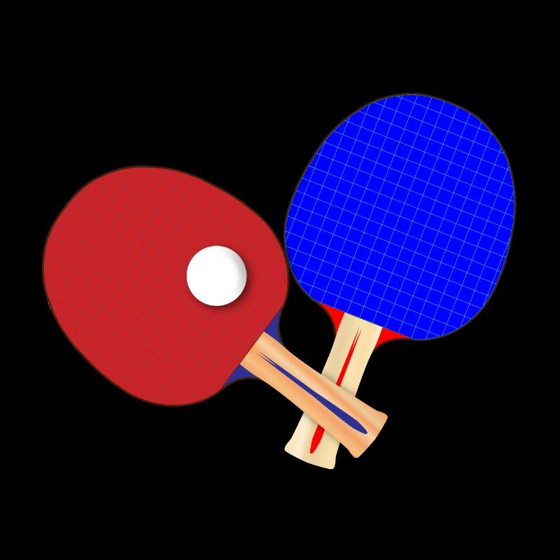 Paire de battes de tennis de table
