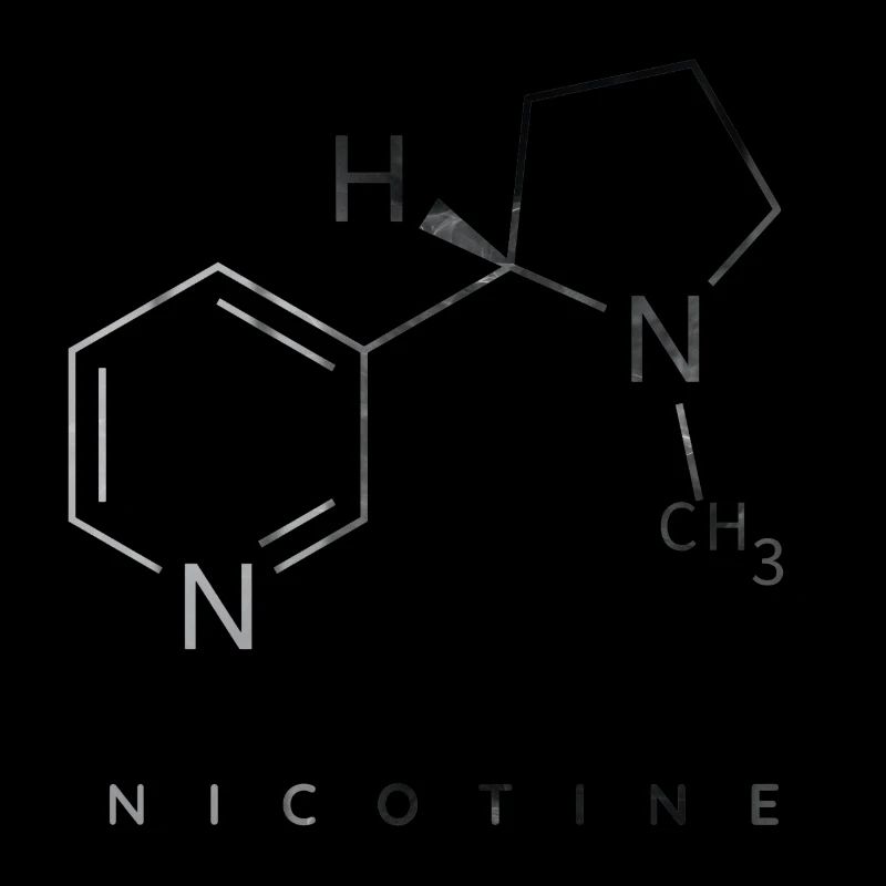 Nikotin-Molekül