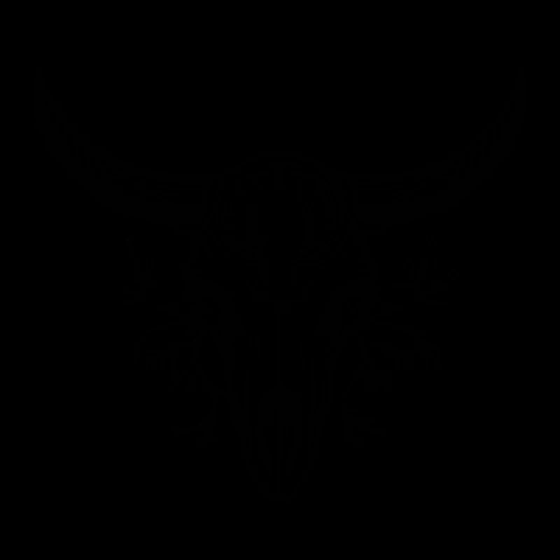 Crâne de vache Boho