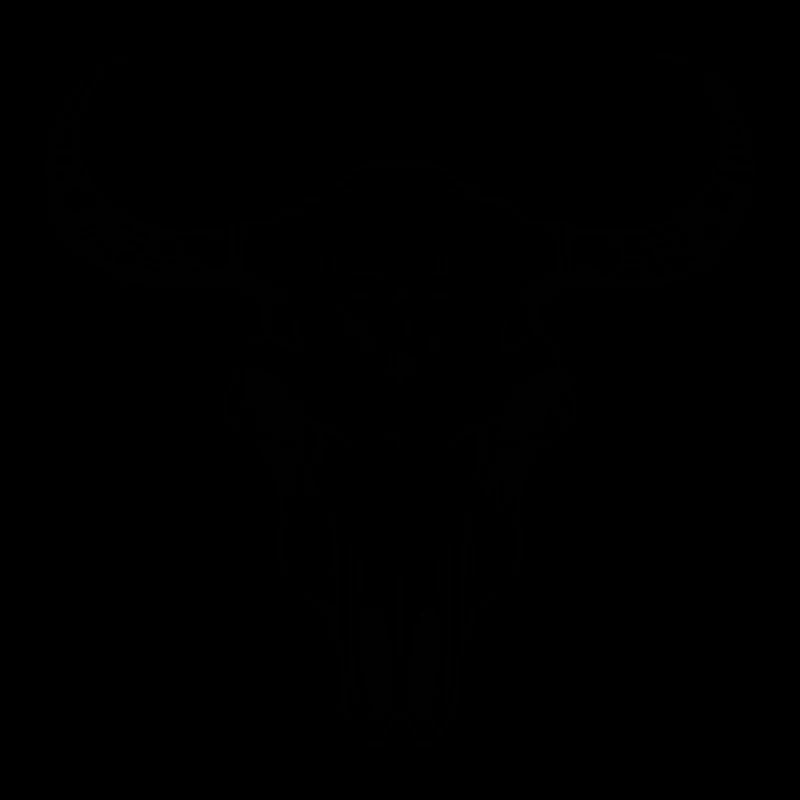 Crâne de vache Boho