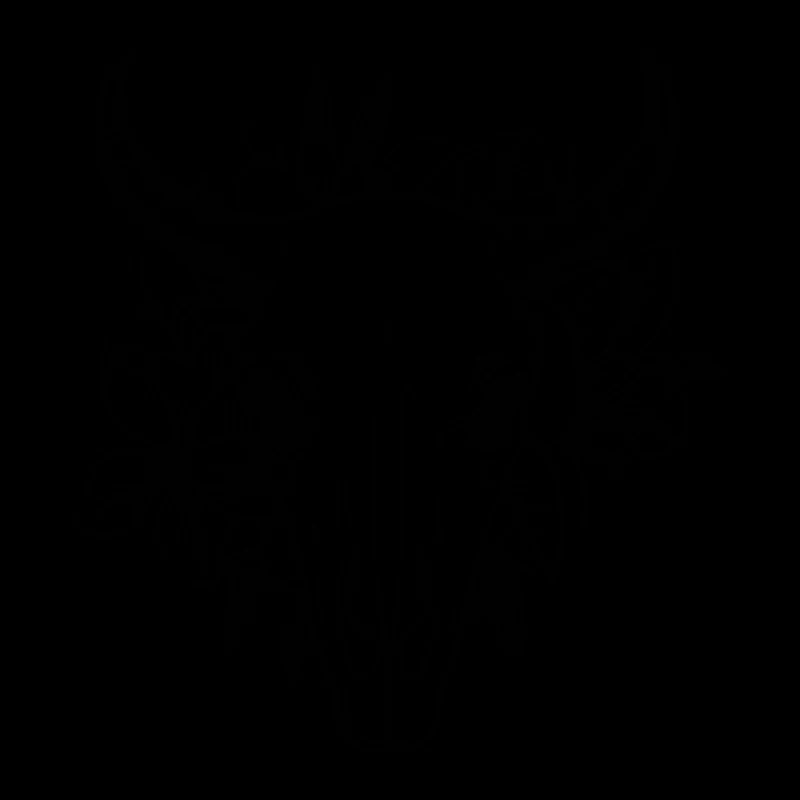 Crâne de vache Boho