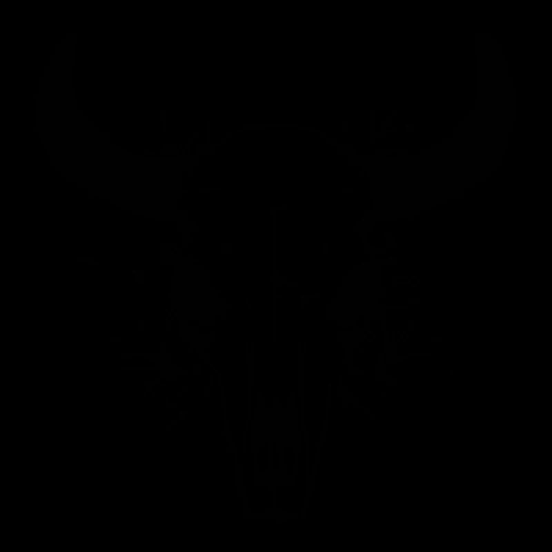 Crâne de vache Boho