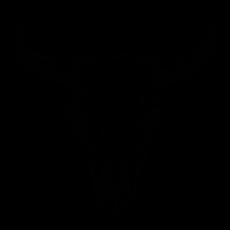 Crâne de vache Boho