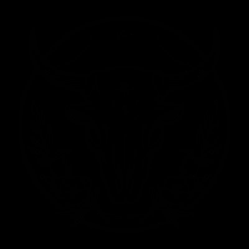 Crâne de vache Boho