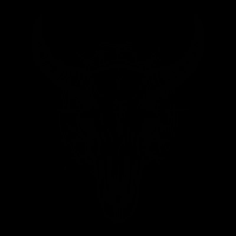 Crâne de vache Boho